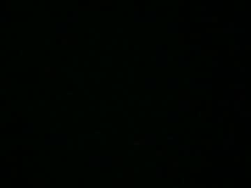 Rollinhardrightnow Chaturbate stream image from February 19, 2026