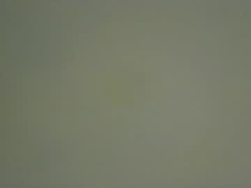 Pweetyp Chaturbate stream image from February 20, 2026