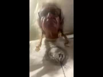 Turtleftw69 Chaturbate stream image from February 21, 2026