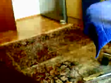 Dammerl6 Chaturbate stream image from February 24, 2026