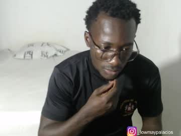 Lowmay_Palacios Chaturbate stream image from February 25, 2026