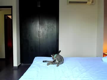 Katekanexxx Chaturbate stream image from February 25, 2026