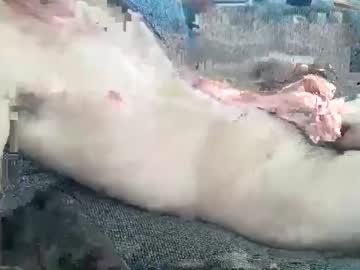 Aussiecok21 Chaturbate stream image from February 27, 2026