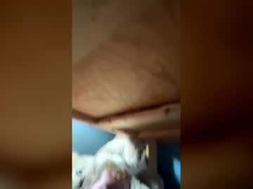 Glitterballboy Chaturbate stream image from February 27, 2026