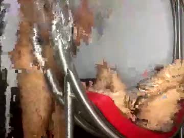 Adoptme03 Chaturbate stream image from March 02, 2026