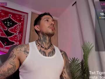 Tigerstripes_ Chaturbate stream image from March 04, 2026