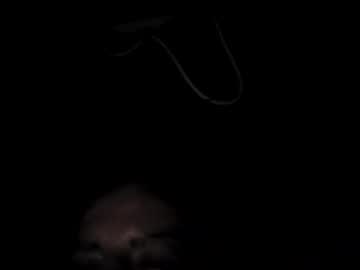 Seanthomas169cock Chaturbate stream image from March 04, 2026