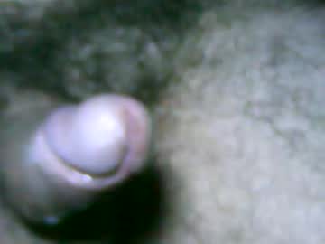 Fer_2197 Chaturbate stream image from March 05, 2026