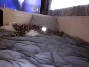 All_M3 Chaturbate stream image from March 08, 2026
