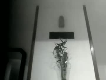 Sioque376201 Chaturbate stream image from March 11, 2026
