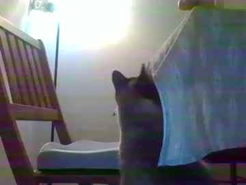 Spanishguy6 Chaturbate stream image from March 11, 2026