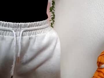 Brittanitorkelson Chaturbate stream image from March 12, 2026