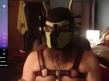 Kinkywolf87 Chaturbate stream image from March 15, 2026
