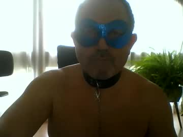 Bisklavenhure stream image from March 16, 2026