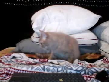 Bladen1986 Chaturbate stream image from March 19, 2026