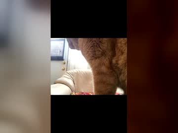 Lorenzo_Bianchi Chaturbate stream image from March 20, 2026