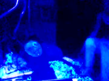 Issyamazin667 Chaturbate stream image from March 25, 2026