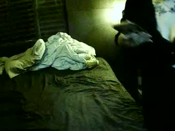 Brunychanel Chaturbate stream image from March 25, 2026
