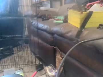 Jackmeofffandswallow Chaturbate stream image from March 27, 2026