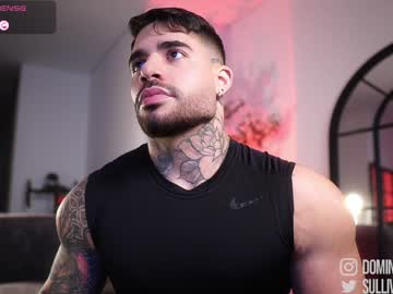 Dominic_Sullivan1 Chaturbate stream image from April 01, 2026