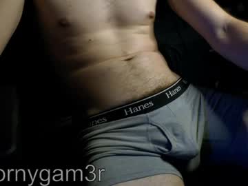 Hornygam3r Chaturbate stream image from April 03, 2026