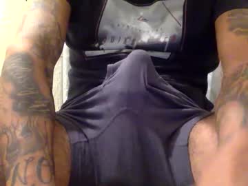 Thevibez1 Chaturbate stream image from April 04, 2026