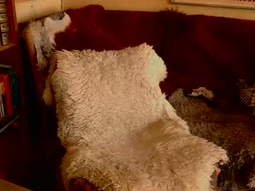 Davidbo_No1 Chaturbate stream image from April 05, 2026