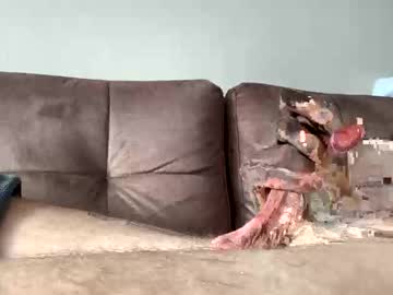 Guizzi1797 Chaturbate stream image from April 05, 2026