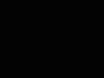Bigdickfitdude29 Chaturbate stream image from April 08, 2026