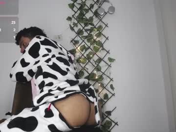 Luis_Prince_ Chaturbate stream image from April 09, 2026
