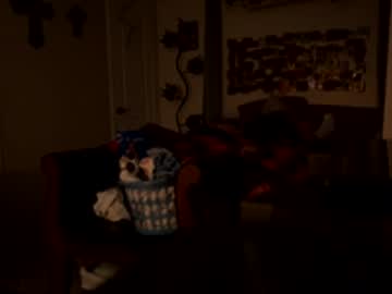 Savorthesnaps22 Chaturbate stream image from April 11, 2026