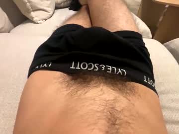 Bigcockdan12310 Chaturbate stream image from April 13, 2026