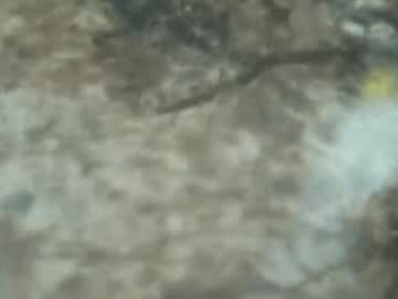 Trayyay Chaturbate stream image from April 19, 2026