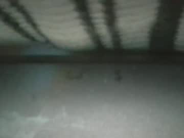 Hotguy912812 Chaturbate stream image from April 20, 2026