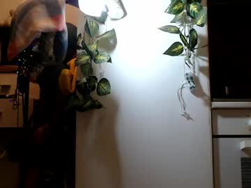 Evvygold Chaturbate stream image from April 21, 2026