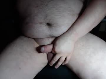 Hornybearbln Chaturbate stream image from April 21, 2026