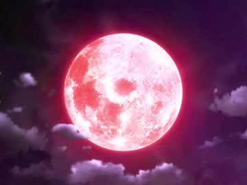 Seleneg Chaturbate stream image from April 22, 2026