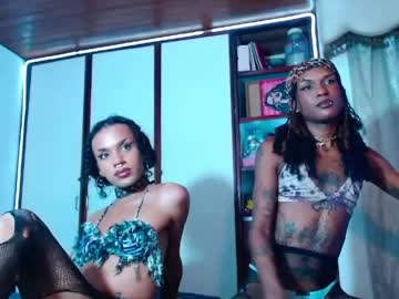 Zorraroja Chaturbate stream image from April 23, 2026