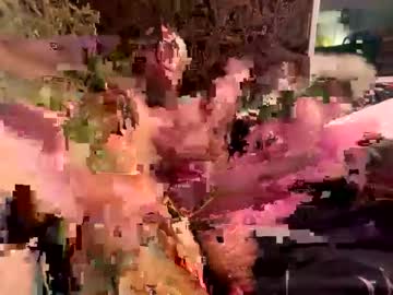 Vikingdudenyc Chaturbate stream image from April 26, 2026