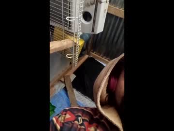 Bigdaddyg42069 Chaturbate stream image from April 26, 2026