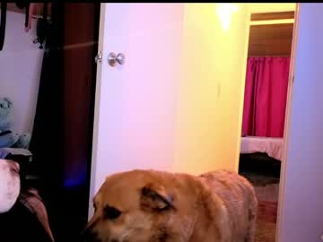 Alaia_Asuka Chaturbate stream image from April 27, 2026