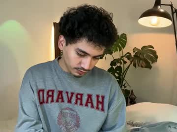 Noah_And_Steven Chaturbate stream image from April 29, 2026