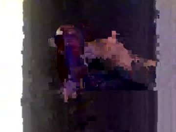 Bossman20001 Chaturbate stream image from April 29, 2026