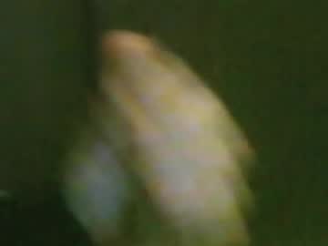 Kren565656 Chaturbate stream image from May 02, 2026