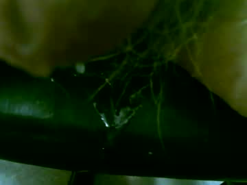 Tallgentleman Chaturbate stream image from May 03, 2026