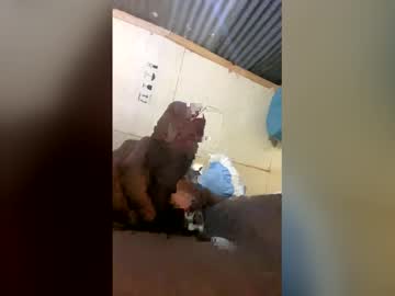 Tamlindo Chaturbate stream image from May 05, 2026