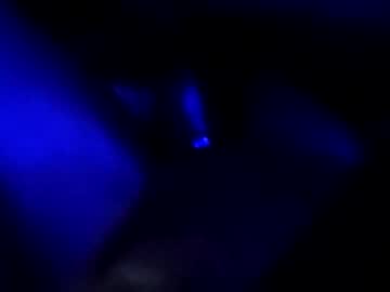 Zooted12 Chaturbate stream image from May 11, 2026