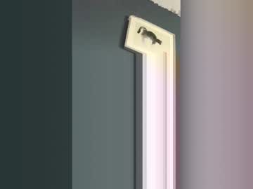 Stuntcock88 Chaturbate stream image from May 12, 2026