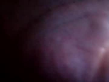 Gracie79 Chaturbate stream image from May 13, 2026