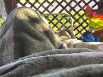 Lild1535 Chaturbate stream image from May 16, 2026